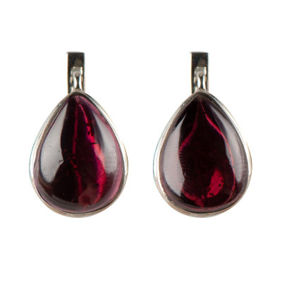 Сережки з натуральним гранатом зі срібла 